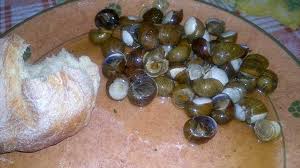 Immergete le lumache in acqua, un po' di aceto e sale grosso. La Ricetta Delle Lumache Alla Salentina Le Municeddhe