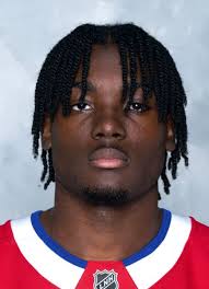 Maleek McGowan Hockey Stats and Profile at hockeydb.com