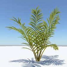 Palm 3d Model Free 3d Model Mountain Scene Beach Cartoon