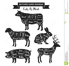 Butcher Guide Cuts Of Meat Diagram Stock Vector