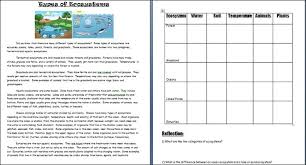 Image Result For Ecosystem Worksheets 5th Grade Basic Sight Words Word Problem Worksheets Probability Word Problems