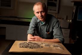 Scale structure of putative chondrichthyan gladbachus adentatus heidtke & krätschmer, 2001 from the middle devonian rheinisches. Ancient Sharks Likely More Diverse Than Previously Thought All Images Nsf National Science Foundation