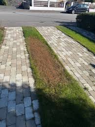 Image result for site:byggahus.se sådd