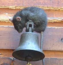 Do ultrasonic pest repellers work? The Best Ultrasonic Pest Repellers Lawn Mower Wizard