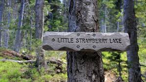 The lake is actually damed to create a deeper and controlable watersource for the valley farmers. Adventure Into Eastern Oregon S Strawberry Mountain Wilderness
