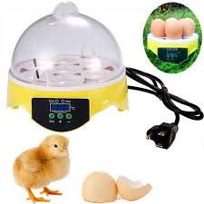 Bird Eggs For Sale Uk Poultry Branded Egg Incubators Large Collection For Sale In Uk Chicken Incubator Egg Incubator Bird Supplies