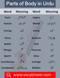 Pin On English To Urdu Vocabulary