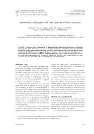 Image result for Ochna macrocalyx