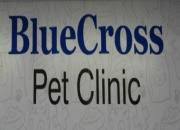 Blue cross pet clinic, san antonio, texas. Bluecross Pet Clinic In Satellite Ahmedabad Drlogy