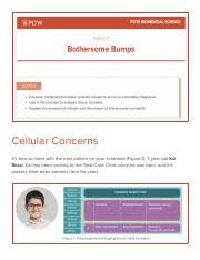 Understanding Cellular Concerns: From Diagnosis to Mitosis