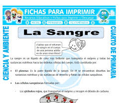 Gracias a las fichas para imprimir, los niños podrán. La Sangre Para Cuarto De Primaria Fichas Para Imprimir