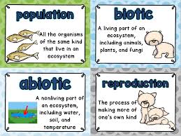 Every Vocabulary Term You Can Think Of For Your Biomes And Ecosystems Word Wall There Are 4 Different Versions Incl Vocabulary Word Walls Word Wall Ecosystems