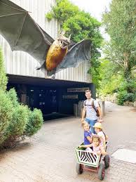 De la ce varsta platesc copii bilet de metrou. Cu Copiii La Frankfurt Ce Sa Vezi Unde Sa Stai Si Sa Mananci Mic Ghid Pentru Parinti Crestem Si Calatorim