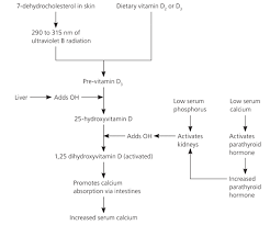 recognition and management of vitamin d deficiency