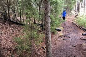 Downeast Sunrise Trail Is Now Closed to Anything but Foot Traffic