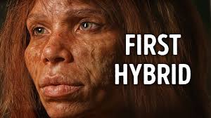 Scientists Found Proof of Human Species Mixing