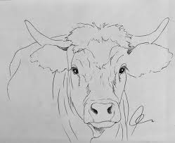 Cow Art Drawing Www Hoerskens De Cow Art Animal Art Art Drawings