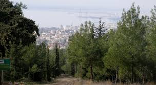 Ο περιφερειάρχης κεντρικής μακεδονίας απόστολος τζιτζικώστας αποφάσισε την άμεση. Einai To Seix Soy Dipla Soy Kai Den Phgaineis Boltes Pygolampides