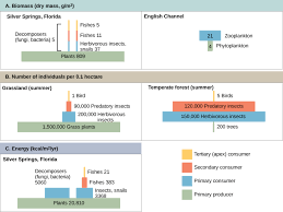 Energy Flow Through Ecosystems Biology I