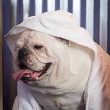 Jadi siapa yang berani pakai jenama lansi dan taikor ni bolehlah singgah ke butik mereka kalau datang ke penang nanti. The Swagger Salon Photos Facebook