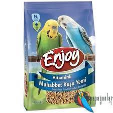 enjoy muhabbet yemi 2021 muhabbet kuslari kus yemi papagan