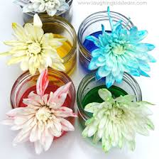 Preferences of insect pollinators are variable (giurfa et. Science Experiment With Colour Changing Flowers Laughing Kids Learn