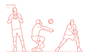 Adriana brandão behar (born february 14, 1969, in rio de janeiro) is one of the most outstanding volleyball players of her generation. Ivan Zaytsev Dimensions Drawings Dimensions Com