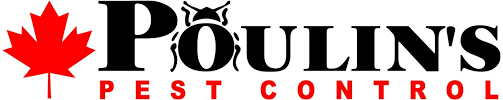 There are things you can do to control pests (insects or animals causing harm or nuisance) on your property. Home Page Poulin S Pest Control Poulin S Pest Control