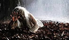 Seekor ular merupakan hewan yang tidak dapat diprediksi dan bisa menyerang kapan saja. Mesti Baca 10 Tanda Tanda Orang Membela Hantu Raya Tak Sangka Senang Je Nak Tahu Kartel Dakwah