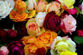 Search 123rf with an image instead of text. Romance Rose Love Red Rose Beautiful White Bouquet Flowers Romantic Plants Pxfuel