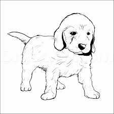 If you love dogs you know you'll love coloring them. Golden Retriever Puppy Coloring Page Novocom Top