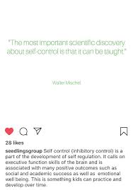Self Control Mindfulness Self Management Skills Self Control Management Skills Self Regulation
