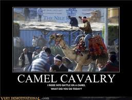 It's where your interests connect you with your people. Camel Cavalry Very Demotivational Demotivational Posters Very Demotivational Funny Pictures Funny Posters Funny Meme
