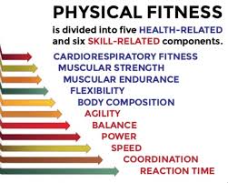 To answer this question, investigators have studied three main kinds of physical activity: Health And Skill Related Components Of Fitness Quiz Quizizz