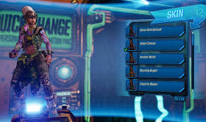 I also lost the heads and dahl skins. If Borderlands 3 Is Doing A Battle Pass It Needs Actual Skins