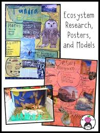 We Bought A Zoo Teacher Trap 2nd Grade Science Projects Ecosystems Projects Ecosystems