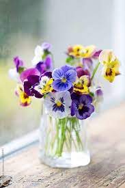 Pin By C On Bouquets Fleurs Pansies Flowers Pretty Flowers Beautiful Flowers