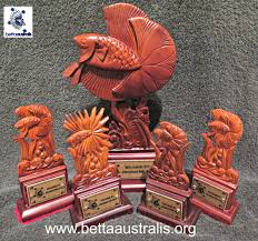 Some Of The Stunning Trophies On Offer At The Little Champions Betta Show Riverlink Ipswich Queensland April 11 12 2015 Betta Siamese Fighting Fish Ipswich
