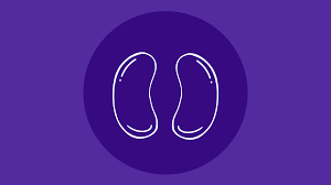 ke.si.ha.tan | کصيحتن definisi : Apa Itu Sindrom Nefrotik Sebab Gejala Rawatan Pendidikan Kesihatan Ogos 2021