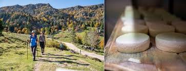 Bureau d'enquêtes et d'analyse d'accidents de l'aviation civile. Entre La Vallee De Munster Et Les Villages De Riquewihr Et Ribeauville L Alsace Revele Sa Belle Diversite