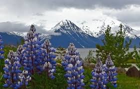 We did not find results for: Spring June In Alaska Mapio Net