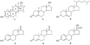 Although they have very different sounding names, testosterone and estrogen (to be precise estradiol) are nearly identical in chemical structure. Molecular Structures Of The Steroid Hormones Estradiol E2 1 Estrone Download Scientific Diagram