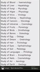 Studies In Latin Names Writing Words Learn English Words English Words