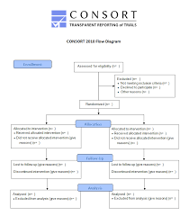 Consort The Consort Flow Diagram
