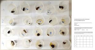 The former property of a skeleton knight.. Performance Of Detection Dogs And Visual Searches For Scat Detection And Discrimination Amongst Related Species With Identical Diets