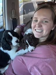 One of my favorite ways to exercise the pack is taking them for a run. I  made these attachments for my golfcart so I can take up to 8 at one time.