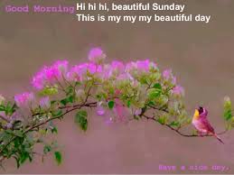 Maybe you would like to learn more about one of these? Have A Beautiful Sunday
