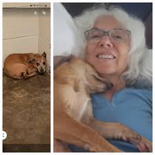 Killington Ski Photo Featured