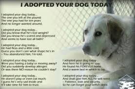 I Adopted Your Dog Today This Makes Me Want To Cry Dog Poems Your Dog Dogs