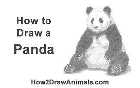 Maybe you would like to learn more about one of these? How To Draw A Panda Sitting